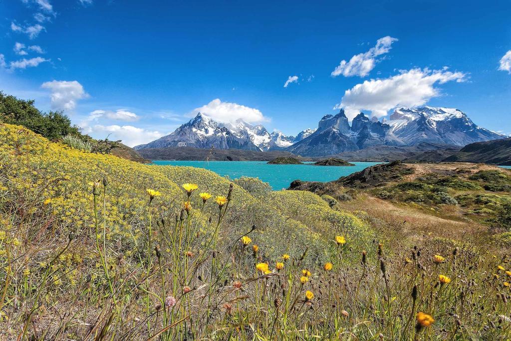 Torres Patagonia Hotel 4*